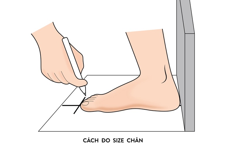 Cách đo kích thước bàn chân chính xác